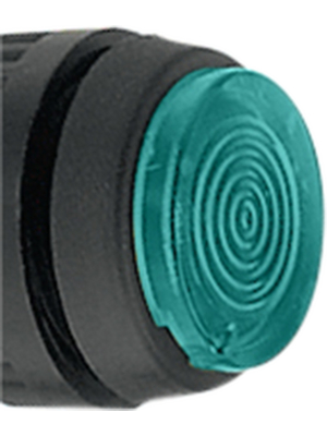 RAFI - 5.49.255.001/1510 - Indicator Lamp Lens green N/A, 5.49.255.001/1510, RAFI