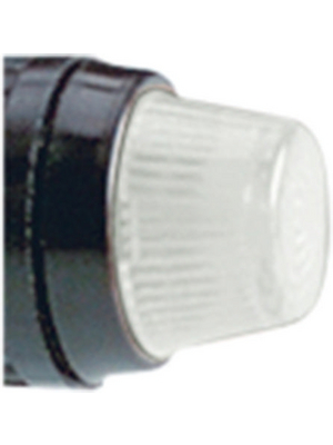 RAFI - 5.49.255.002/1002 - Indicator Lamp Lens colourless, 5.49.255.002/1002, RAFI