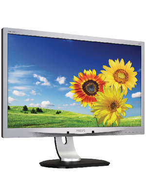 Philips - 220P4LPYES - TFT Monitor P-Line, 220P4LPYES, Philips