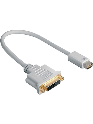 Maxxtro - AA-3503-015 - Adapter 15 cm Mini DVI C DVI-D m C f, AA-3503-015, Maxxtro