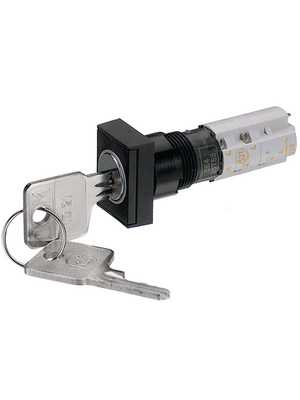 RAFI - 1.15.108.572/0100 - Key switch 18 x 24 mm 2 make contacts + 2 break contacts 0/90, 1.15.108.572/0100, RAFI