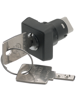 RAFI - 1.15.156.011/0000 - Key switch 25 x 25 mm 1 make contact (NO) 0/90, 1.15.156.011/0000, RAFI