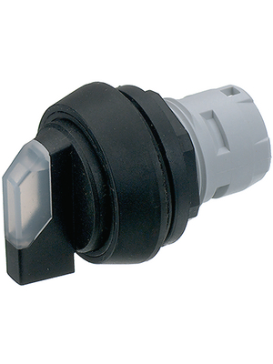 RAFI - 1.30.073.521/2000 - Illuminated selector switch ? 25 mm 0/90, 1.30.073.521/2000, RAFI