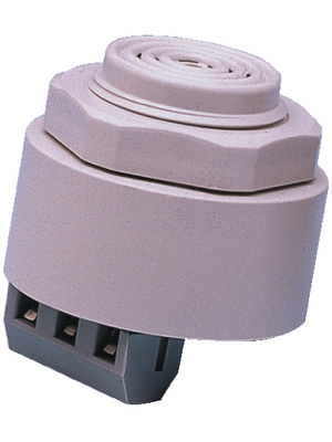 Digisound - B/CP50 - Piezo signal generator, B/CP50, Digisound