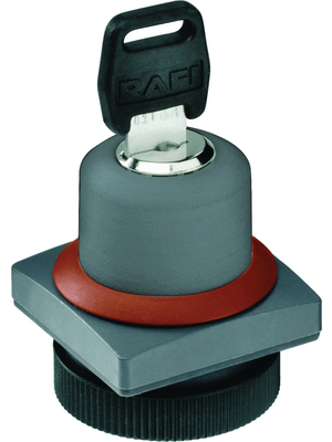 RAFI - 1.30.255.052/0000 - Key lock switch 1 x 40 22 mm RAFIX 22 FS+ 0/40, 1.30.255.052/0000, RAFI