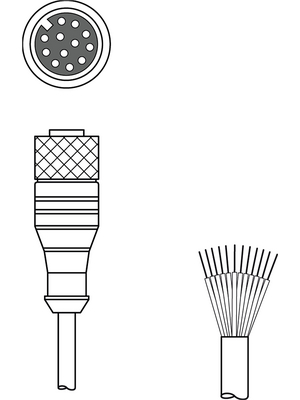 Leuze electronic - KD S-M12-CA-P1-020 - Connection Cable,2 m, KD S-M12-CA-P1-020, Leuze electronic