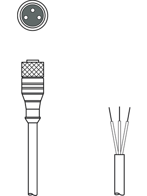 Leuze electronic - KD U-M8-4A-P1-050 - Connection Cable,5 m, KD U-M8-4A-P1-050, Leuze electronic