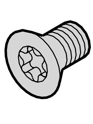 Pentair Schroff - 24560-139 - Torx screw metallic, 24560-139, Pentair Schroff