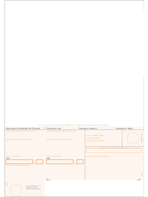 Simplex - 38323 - Payment Slips, BESR with border, 38323, Simplex