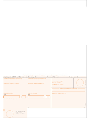 Simplex - 38223 - Payment Slips, BESR with border, 38223, Simplex