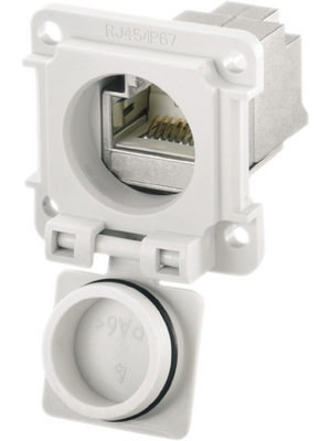 Weidmller - IE-XM-RJ45/IDC-IP67 - RJ45 Connector, IE-XM-RJ45/IDC-IP67, Weidmller