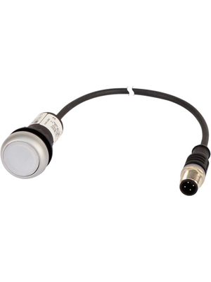 Eaton - C22-DRL-W-K10-24-P5 - Illuminated pushbutton actuator, 1 make contact (NO), M12 / 4-pole, C22-DRL-W-K10-24-P5, Eaton