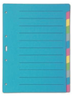 Biella - 461412 - BIELLA register carton coloured A4 blank, 461412, Biella