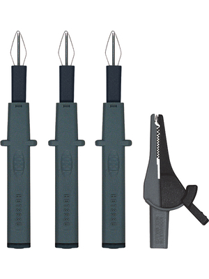 Amprobe - FTC00001324D - Measuring tip set, FTC00001324D, Amprobe