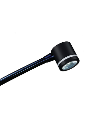 Signal-Construct - QLLR 111 SS6 - Desktop lamp N/A Euro  black, QLLR 111 SS6, Signal-Construct